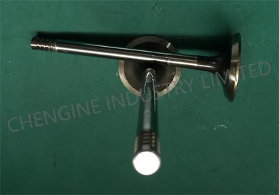 CA498 EXH VALVE